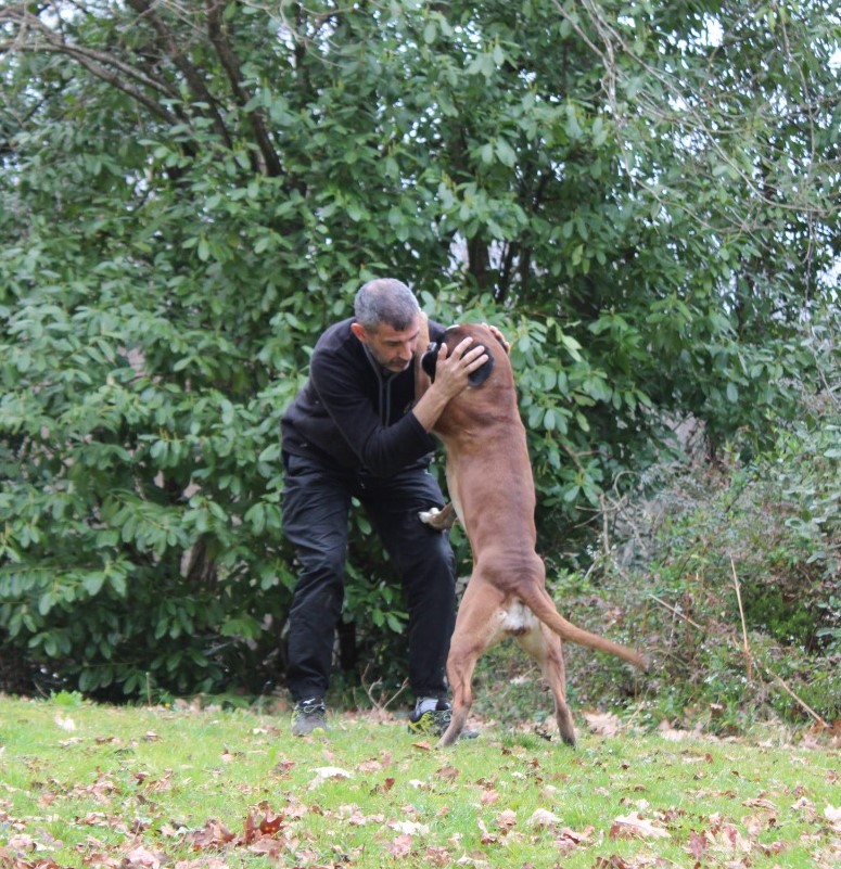 chien et maitre