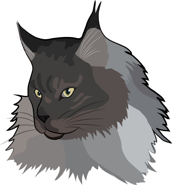 maine coon