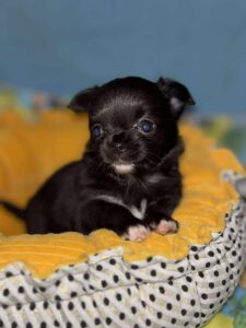 599837144_1396736602124090_6831443044493365991_n