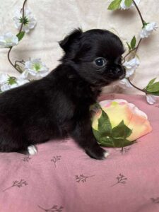 600708900_1428693478816900_5782004997899227000_n