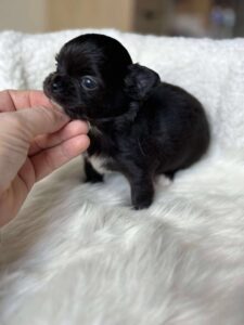 601105670_708616458710383_3614493083353935979_n