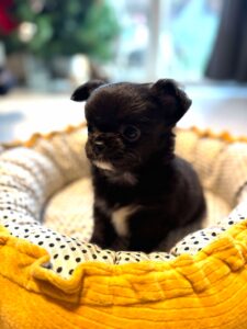 605565866_1389321792655995_4759168890949300719_n