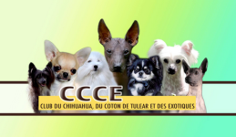 ccce